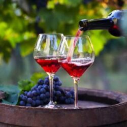 The Potential Health Benefits of Wine